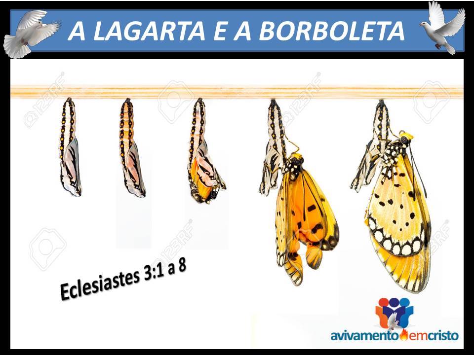 A Lagarta e a Borboleta