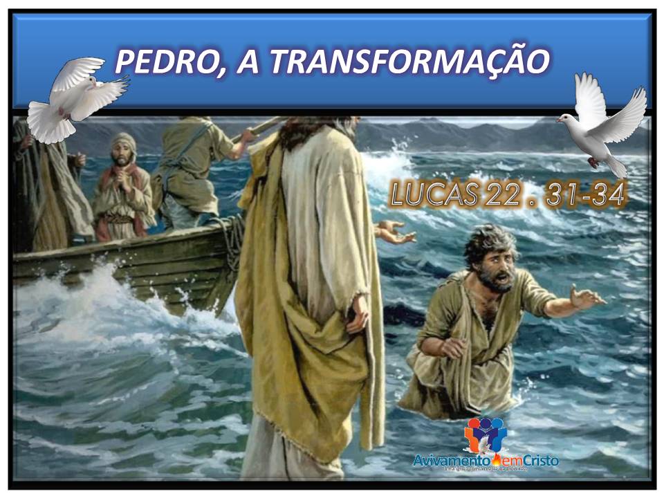 PEDRO A TRANSFORMAÇÃO